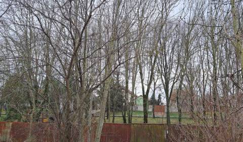 Prodej Pozemky - bydlení, Pozemky - bydlení, Levice, Slovensko