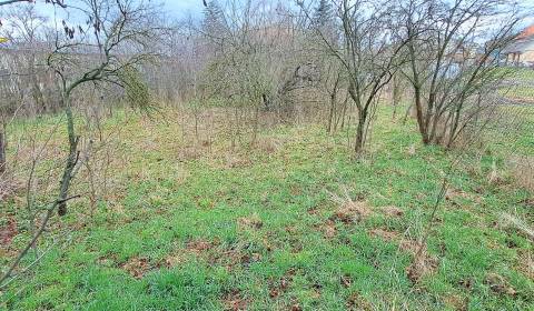 Prodej Pozemky - bydlení, Pozemky - bydlení, Levice, Slovensko