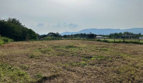 Prodej Pozemky - komerční, Pozemky - komerční, P. O. Hviezdoslava, Žil