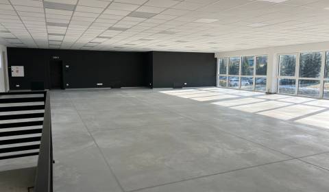 Pronájem Prostory pro obchod, Prostory pro obchod, SNP, Žilina, Sloven