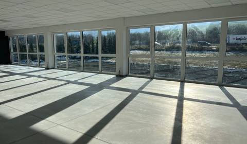 Pronájem Prostory pro obchod, Prostory pro obchod, SNP, Žilina, Sloven