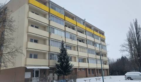 Prodej Garsoniéra, Garsoniéra, Vrbovská cesta, Piešťany, Slovensko