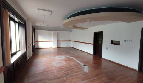 Pronájem Kancelářské prostory, Kancelářské prostory, Gorkého, Michalov