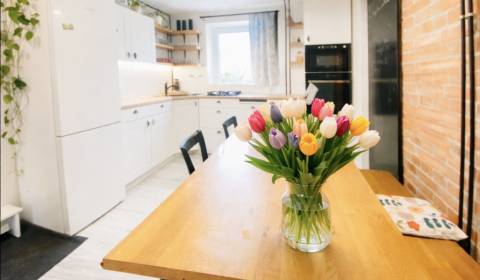 Pronájem Byt 2+1, Byt 2+1, Jesenná, Košice - Sever, Slovensko