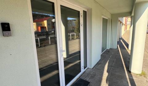 Pronájem Kancelářské prostory, Kancelářské prostory, Moyzesova, Považs