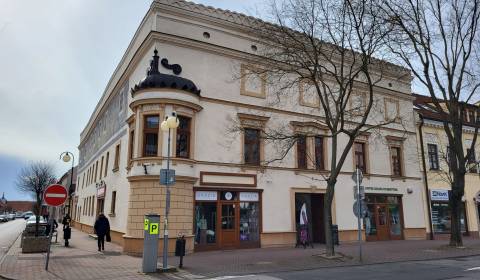 Pronájem Kancelářské prostory, Kancelářské prostory, Radničné námestie