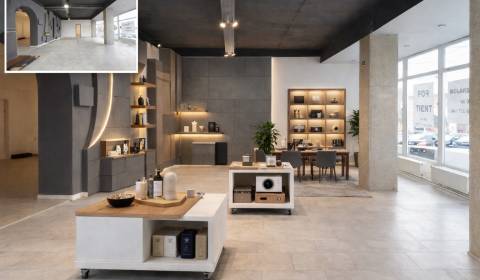 Pronájem Prostory pro obchod, Prostory pro obchod, Brnianska, Trenčín,