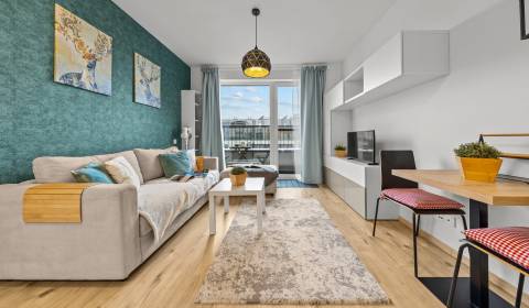 Prodej Byt 1+1, Byt 1+1, Zuzany Chalupovej, Bratislava - Petržalka, Sl