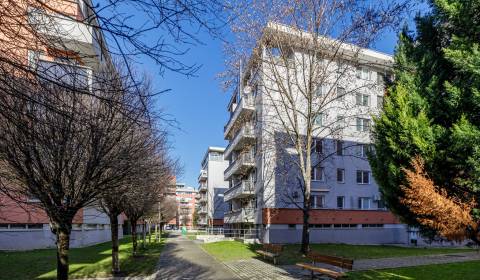 Prodej Byt 4+1, Byt 4+1, Na križovatkách, Bratislava - Ružinov, Sloven
