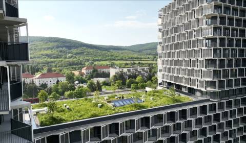 Pronájem Byt 2+1, Byt 2+1, Račianska, Bratislava - Nové Mesto, Slovens