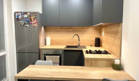 Prodej Byt 1+1, Byt 1+1, Račianska, Bratislava - Nové Mesto, Slovensko