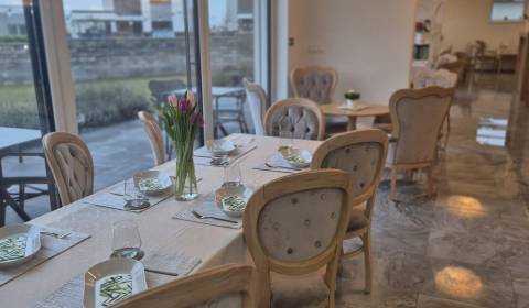 Pronájem Restaurace, Restaurace, Johna Dopyeru, Trnava, Slovensko