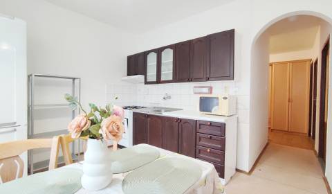 Pronájem Byt 2+1, Byt 2+1, Štvrť SNP, Trenčín, Slovensko