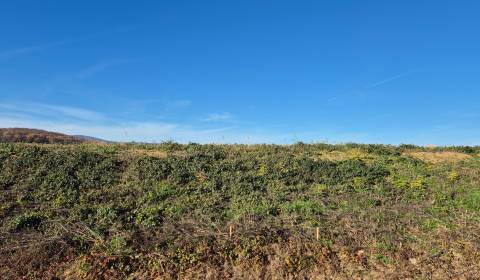 Prodej Pozemky - bydlení, Pozemky - bydlení, Zlaté Moravce, Slovensko