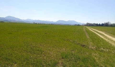 Prodej Pozemky - bydlení, Pozemky - bydlení, Martin, Slovensko