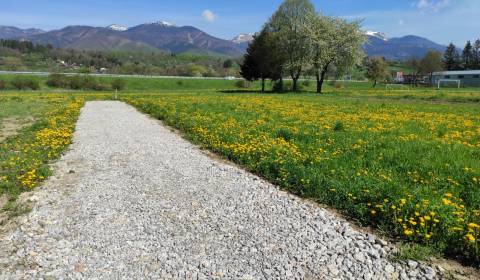 Prodej Pozemky - bydlení, Pozemky - bydlení, Martin, Slovensko