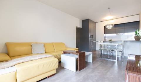 Pronájem Byt 2+1, Byt 2+1, Staré grunty, Bratislava - Karlova Ves, Slo