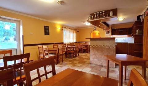 Prodej Prostory pro obchod, Prostory pro obchod, Žiar nad Hronom, Slov