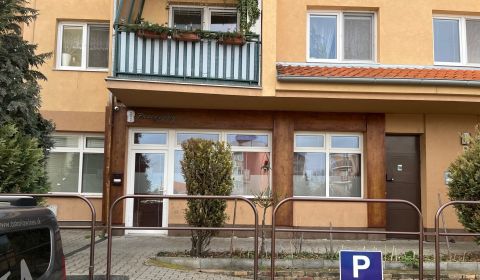 Pronájem Prostory pro obchod, Prostory pro obchod, Kysucká, Senec, Slo