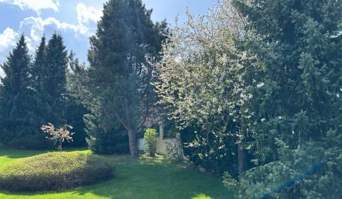 Prodej Pozemky - bydlení, Pozemky - bydlení, Kolónia Hviezda, Martin, 