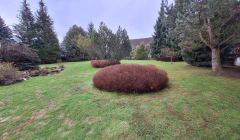 Prodej Pozemky - bydlení, Pozemky - bydlení, Kolónia Hviezda, Martin, 