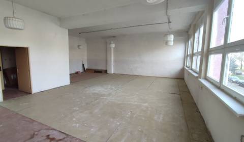 Pronájem Kancelářské prostory, Kancelářské prostory, Prof. Hlaváča, Mi