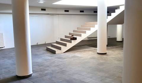 Prodej Prostory pro obchod, Prostory pro obchod, Bratislava - Nové Mes