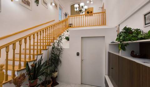 Pronájem Garsoniéra, Garsoniéra, Bratislavská, Bratislava - Záhorská B