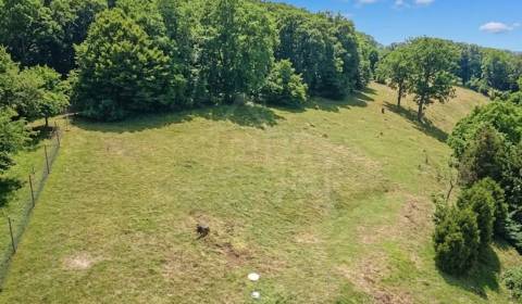 Prodej Pozemky - bydlení, Pozemky - bydlení, Nitra, Slovensko