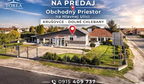 Prodej Prostory pro obchod, Prostory pro obchod, Dolné Chlebany, Topoľ