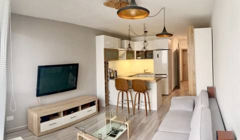 Pronájem Byt 2+1, Byt 2+1, Nobelova, Bratislava - Nové Mesto, Slovensk