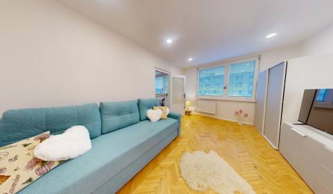 Prodej Byt 1+1, Byt 1+1, Novomeského, Žiar nad Hronom, Slovensko