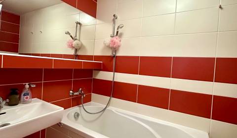 Pronájem Byt 2+1, Byt 2+1, Považská, Košice - Západ, Slovensko