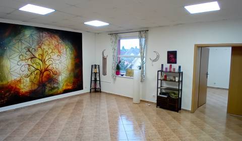 Pronájem Kancelářské prostory, Kancelářské prostory, Sladovnícka, Trna