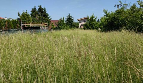 Prodej Pozemky - bydlení, Pozemky - bydlení, Trnavská, Senec, Slovensk