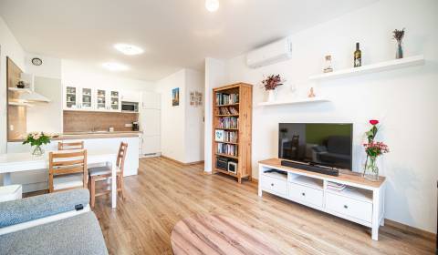 Prodej Byt 2+1, Byt 2+1, Zuzany Chalupovej, Bratislava - Petržalka, Sl