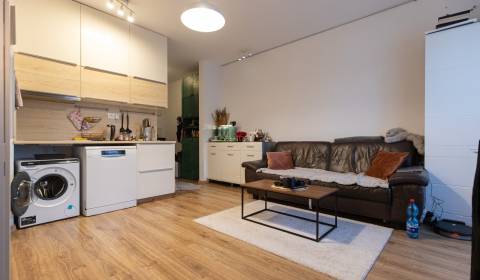 Pronájem Byt 2+1, Byt 2+1, Zuzany Chalupovej, Bratislava - Petržalka, 