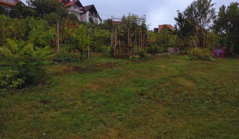 Prodej Pozemky - bydlení, Pozemky - bydlení, Narcisová, Nitra, Slovens