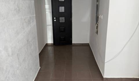 Pronájem Prostory pro obchod, Prostory pro obchod, Saratovská, Levice,