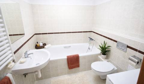 Pronájem Byt 2+1, Byt 2+1, Ružová dolina, Bratislava - Ružinov, Sloven