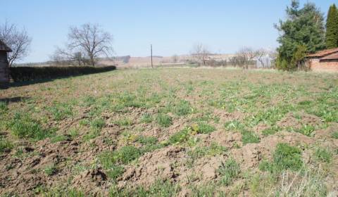 Prodej Pozemky - bydlení, Pozemky - bydlení, Topoľčany, Slovensko