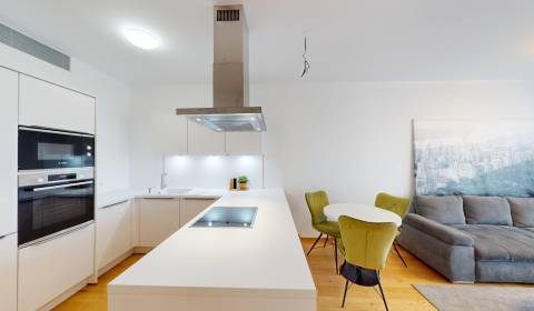 Pronájem Byt 2+1, Byt 2+1, Továrenská, Bratislava - Staré Mesto, Slove