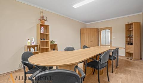 Pronájem Kancelářské prostory, Kancelářské prostory, Jilemnického, Dun