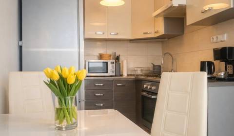 Pronájem Byt 2+1, Byt 2+1, Markušova, Košice - Západ, Slovensko