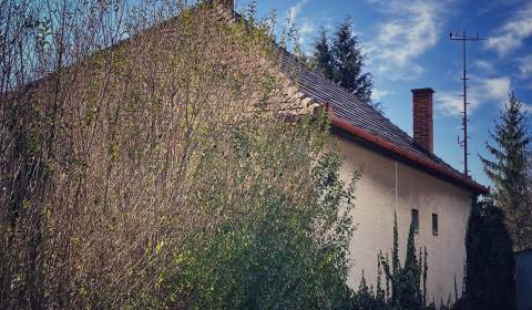 Prodej Rodinný dům, Rodinný dům, Topoľčany, Slovensko