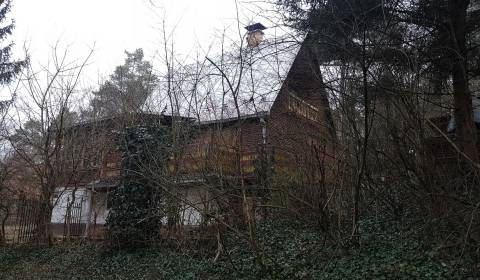 Prodej útulné chaty v klidné lokalitě u Piešťan