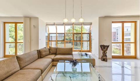 Prodej Byt 5+1 a víc, Byt 5+1 a víc, Čapkova, Bratislava - Staré Mesto