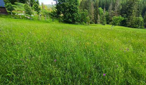 Prodej Pozemky - bydlení, Pozemky - bydlení, Čadca, Slovensko