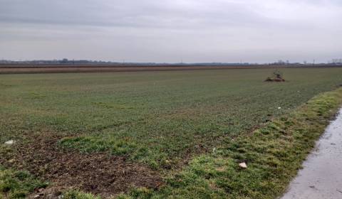 Prodej Zemědělské a lesní, Zemědělské a lesní, Galanta, Slovensko