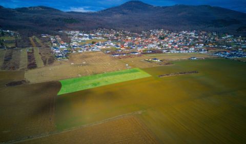 Prodej Pozemky - bydlení, Pozemky - bydlení, Nitra, Slovensko